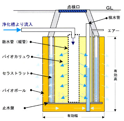 摜(400x391)